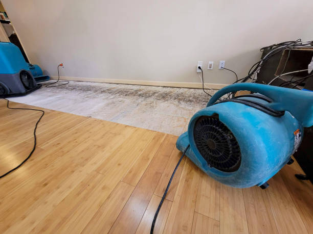 Professional Burst Pipe Water Damage technician working in Republic, OH